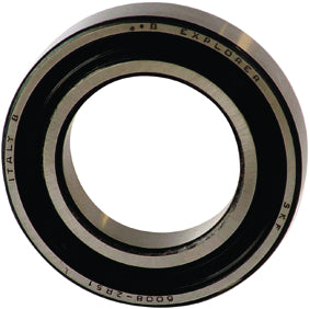 SKF-6010-2RS1.jpg