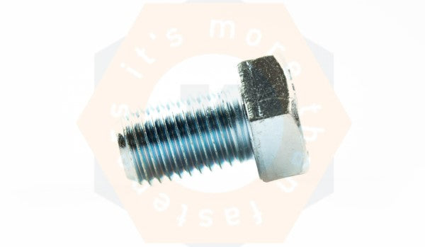 BOUT DIN 933 8.8 EV M 12 X 30 - 100