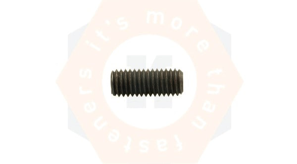SCHROEF DIN 913 45H ZW M6 X 10-1000