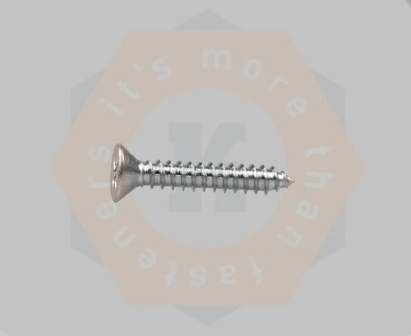 SCHROEF DIN 7982 EV 6.3 X 45 - 200
