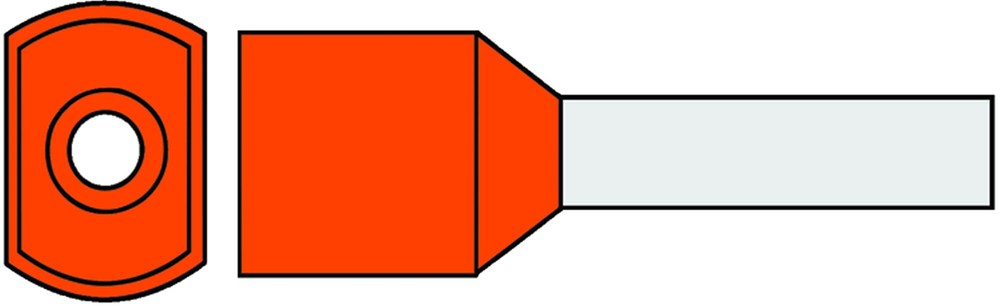720545.jpg