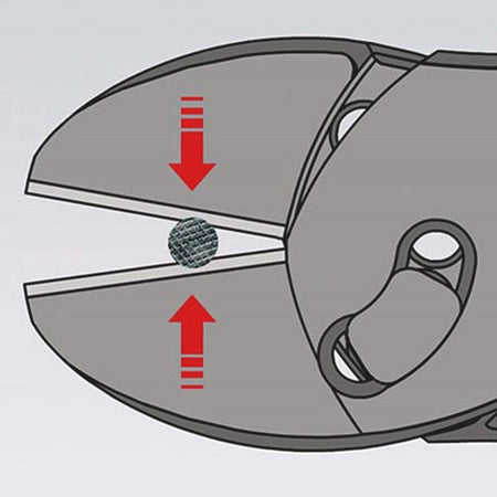 73_7_ANIMATION1D0.jpg