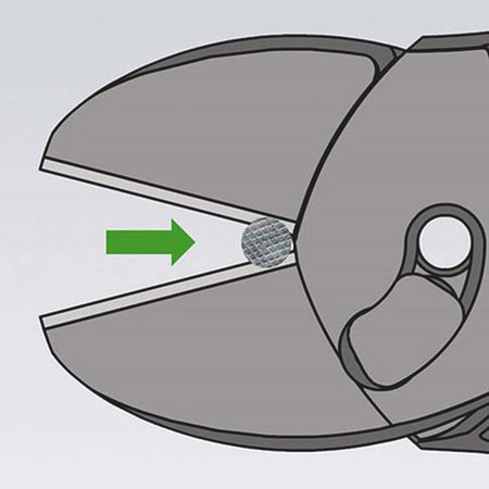 73_7_ANIMATION4D0.jpg