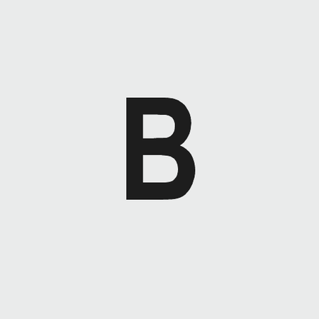 Model B