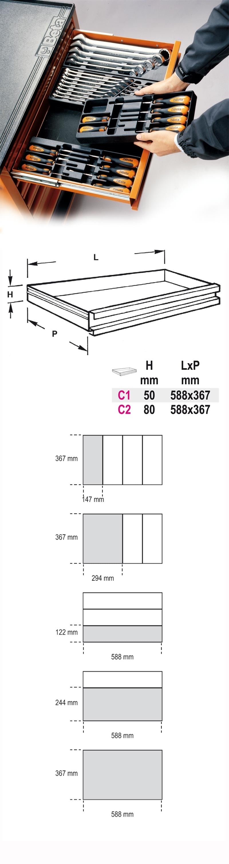 T176_2.jpg