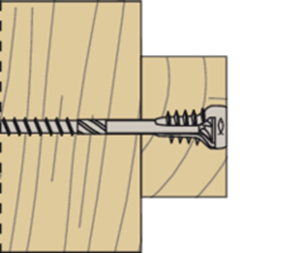 w1_m_l_03_fafs_f_sall_aqq_v1.jpg